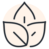 Icon of leaves with a white background